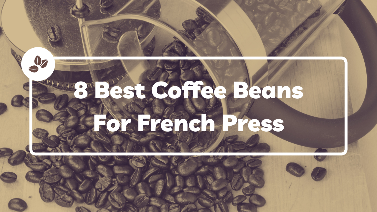 View of 8 Best Coffee Beans For French Press [Suited For Everyone]