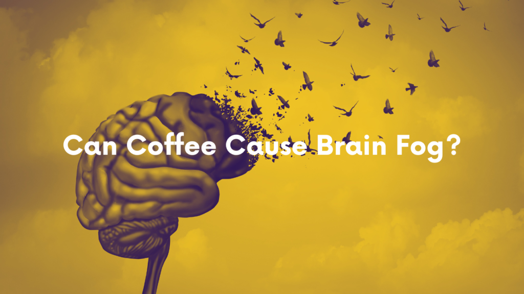 Can Coffee Cause Brain Fog?